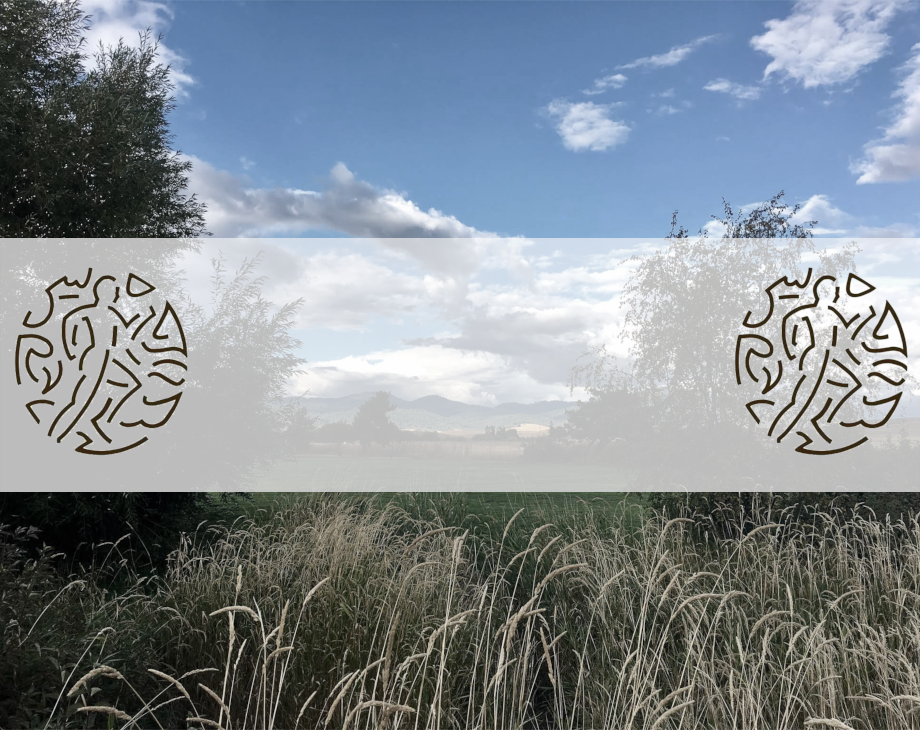 Certificate Background